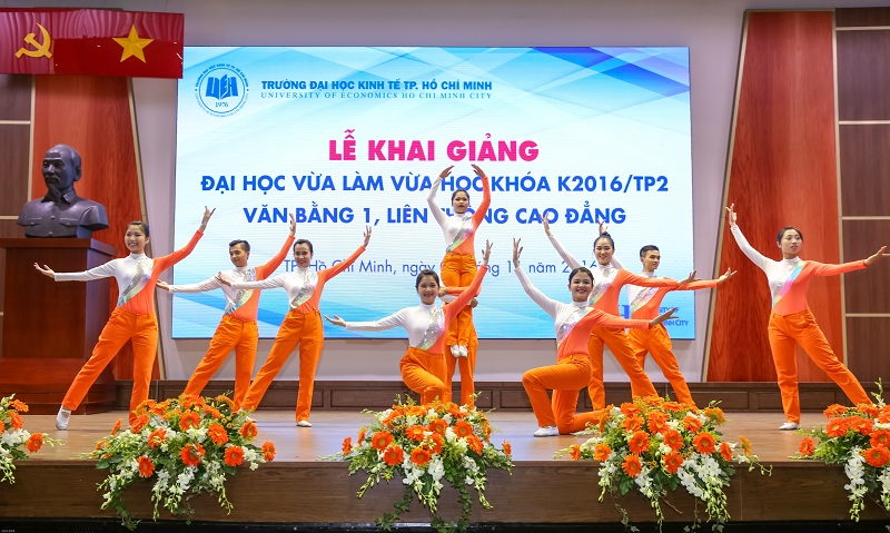 cá cược thể thao hul city